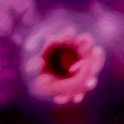 1079333mm x 333mm  2022