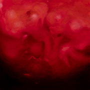 1090333mm x 333mm  2023