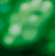 1113333mm x 333mm  2023