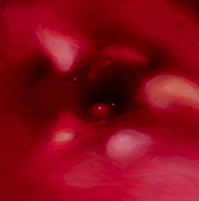 1116333mm x 333mm  2024