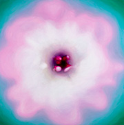 1117910mm x 910mm  2024