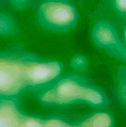 1119333mm x 333mm  2024