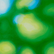 1121333mm x 333mm  2024