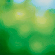 1124333mm x 333mm  2024