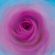 1135333mm x 333mm  2025