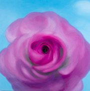 1139910mm x 910mm  2025